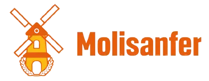 Logo de Molisanfer